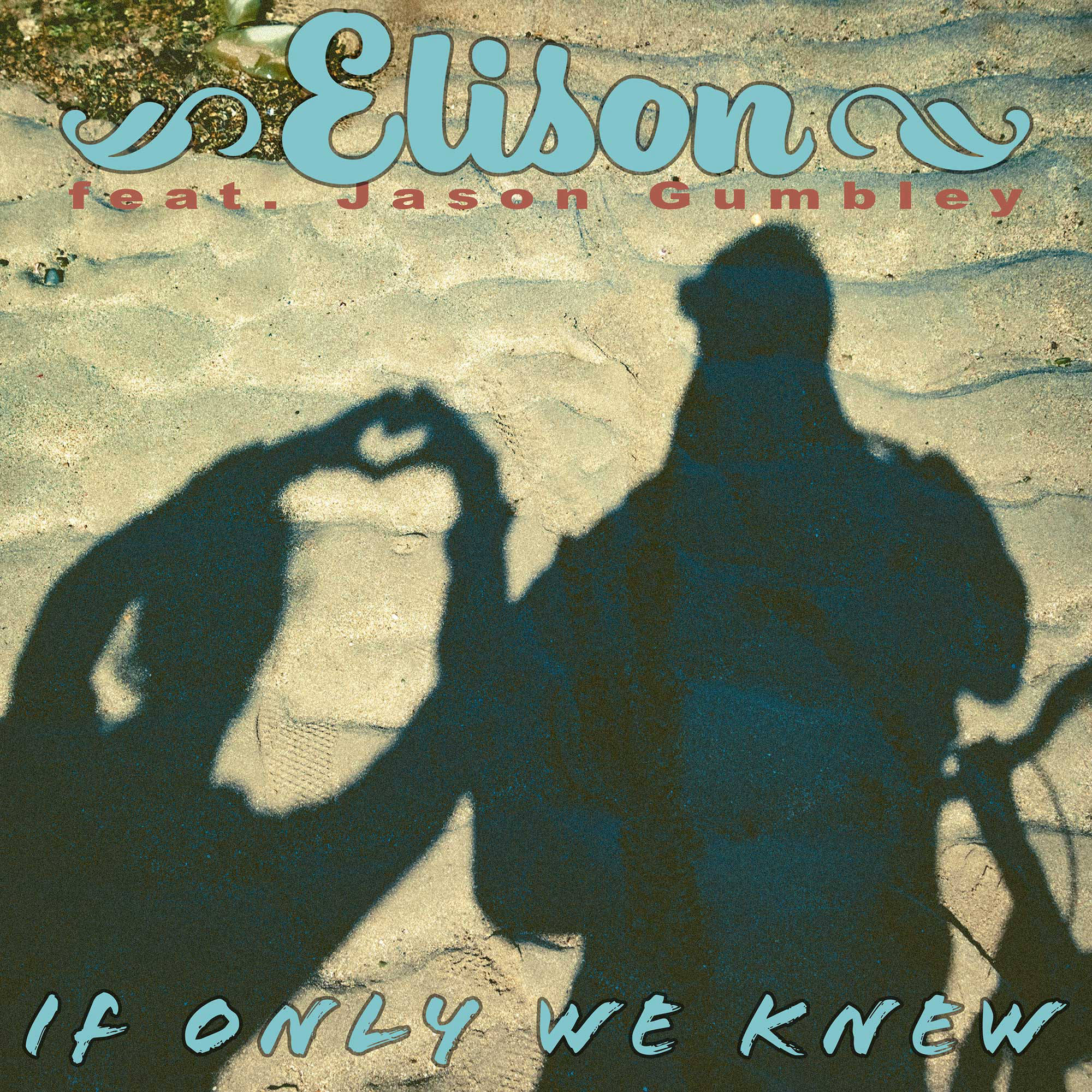 If Only We Knew by Elison front cover