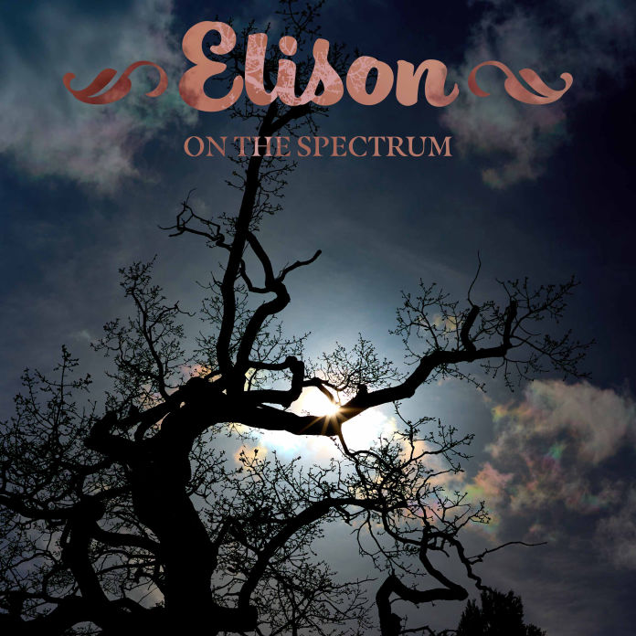 On the Spectrum by Elison front cover