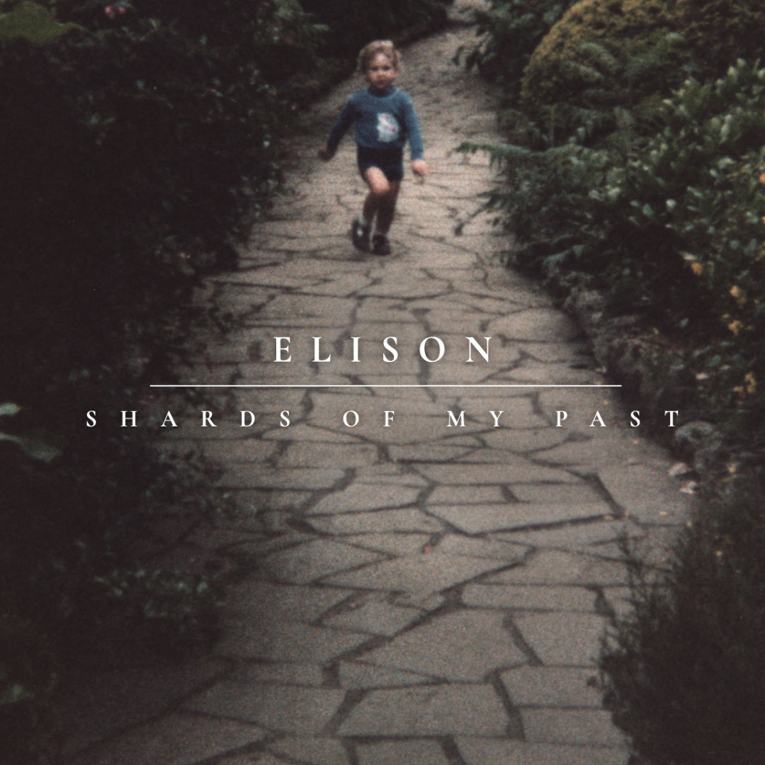 Shards of My Past by Elison
