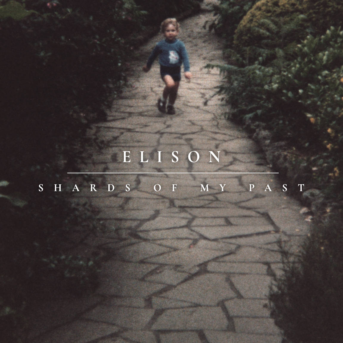 Shards of My Past by Elison front cover
