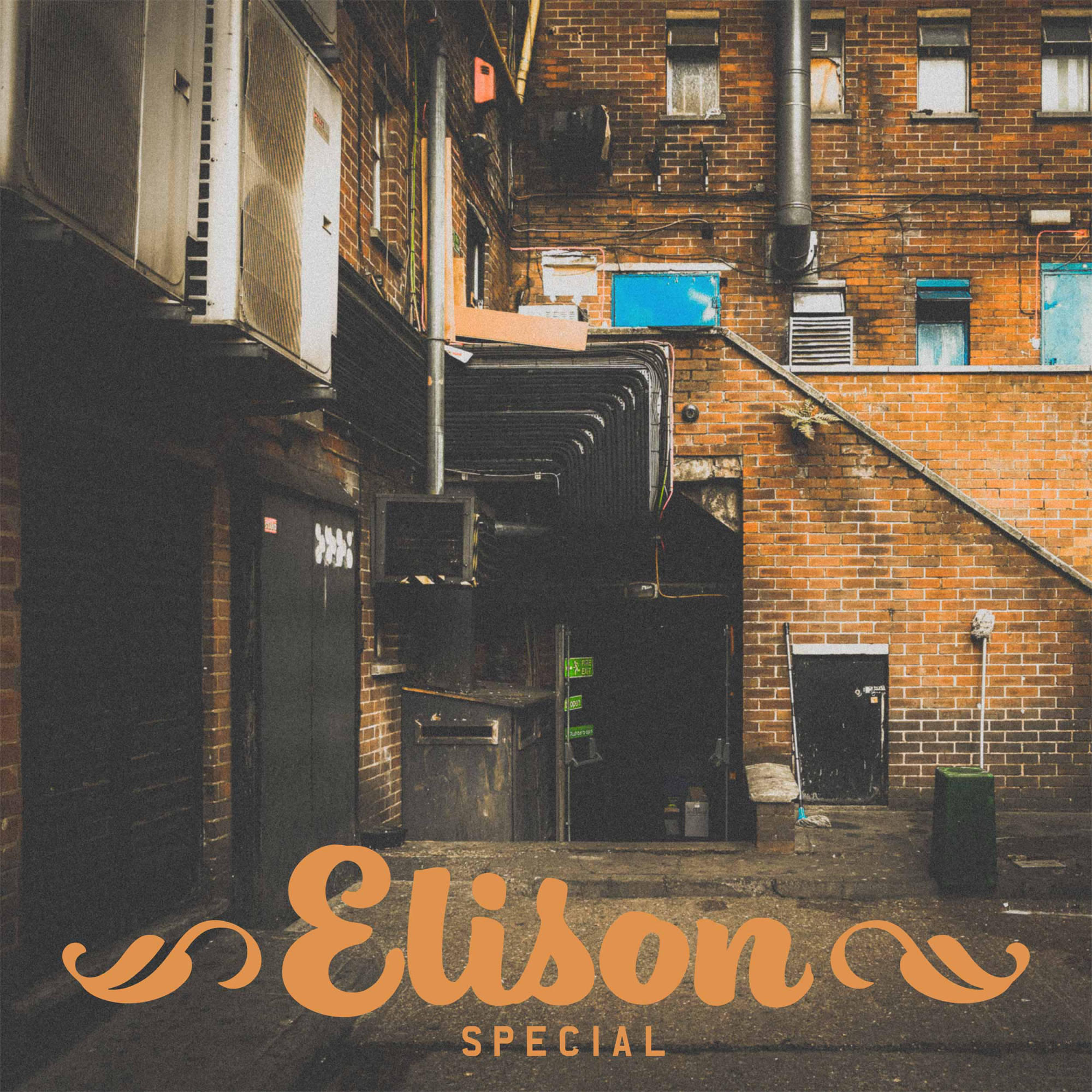 Special by Elison front cover