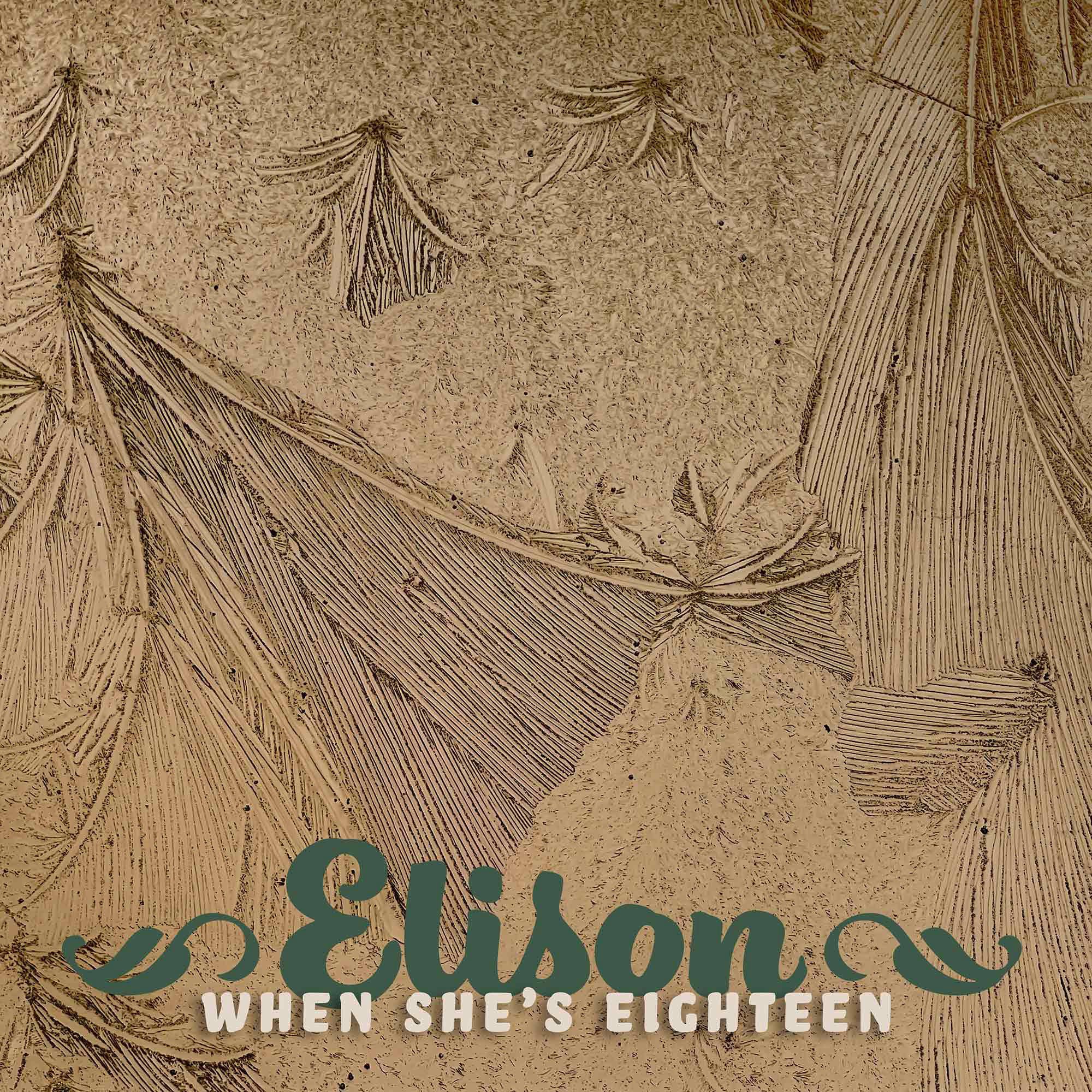 When She's Eighteen by Elison front cover
